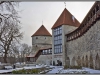 Estonia, Tallinn, panorama