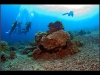 Tubbataha_IMG_0048